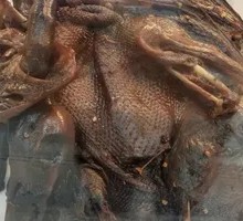 Spicy Duck Board