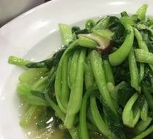 Stir-fried Baby Bok Choy