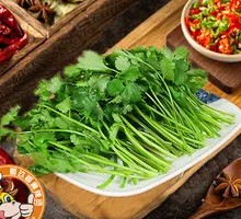Special Coriander Dish