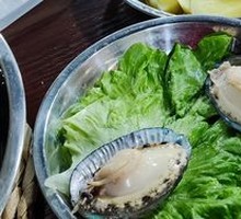 Fresh Six-Head Abalone
