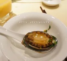 Small Abalone