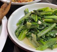 Oilseed lettuce