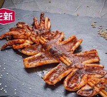 Argentine Squid