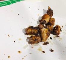Sheep penis