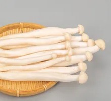 Seafood Mushroom