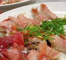 Dragon-Style Eastern Star Perch