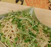 Stir-Fried Tofu Noodles