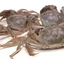 Fresh Male Crab with Home-style Sauce