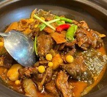 Clay Pot Softshell Turtle