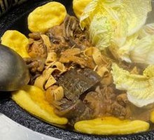 Bald Eagle Turtle Chicken