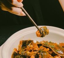 Five-Year Lake Water Giant Softshell Turtle per Catty