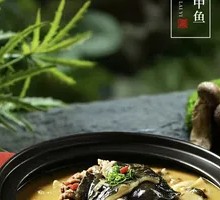 Ecological Lake Turtle