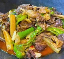 Lake-side Local Duck