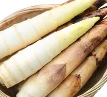 Bamboo Shoot