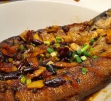 Pan-Seared Large Catfish