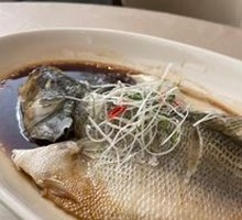Steamed Sea Bass