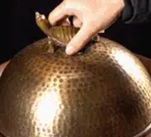 Braised Ecological Softshell Turtle