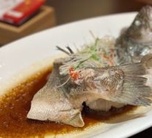 Steamed California Halibut