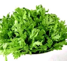Chinese chrysanthemum greens