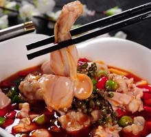 Spicy Braised Frog Legs