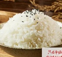 Fragrant Rice