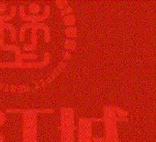 Angus Grass-Fed Beef