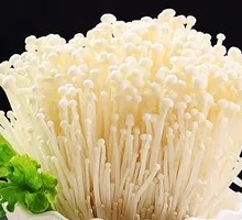 Enoki Mushroom