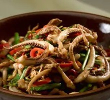 Squid