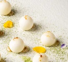 Osmanthus Lemon Yam