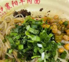 Fried Sauce Noodles