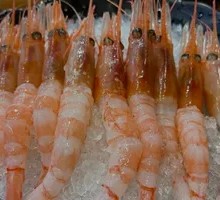 Stuffed Shrimp
