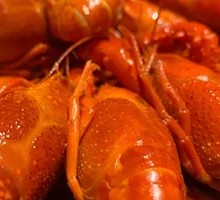 Steamed Premium Crawfish