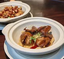 Braised Pigeon in Clay Pot with Oil