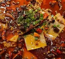 Spicy Sichuan Blood Duck Hot Pot