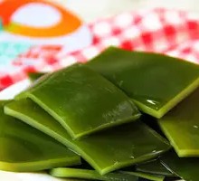 Kelp