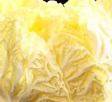 Napa cabbage