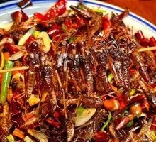 Spicy Fried Crickets with Pepper Flavor