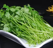 Cilantro Beef