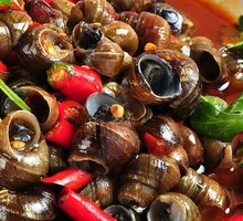 Turtle Snail Delicacy