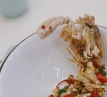 Large Pipa Shrimp