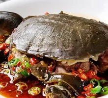 Softshell Turtle and Duck Stew