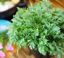 Chinese chrysanthemum greens