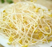 Mung Bean Sprouts