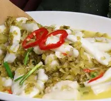 Snow Cabbage Yellow Croaker