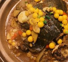 Braised Softshell Turtle