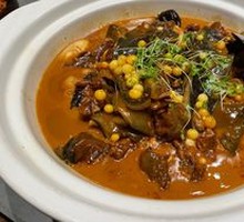 Ecological Softshell Turtle