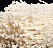 Enoki Mushroom
