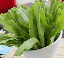Spicy Pepper and Lettuce Stems