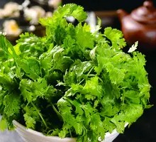 Cilantro