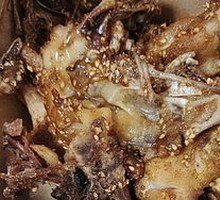 Spicy Famous Chicken架